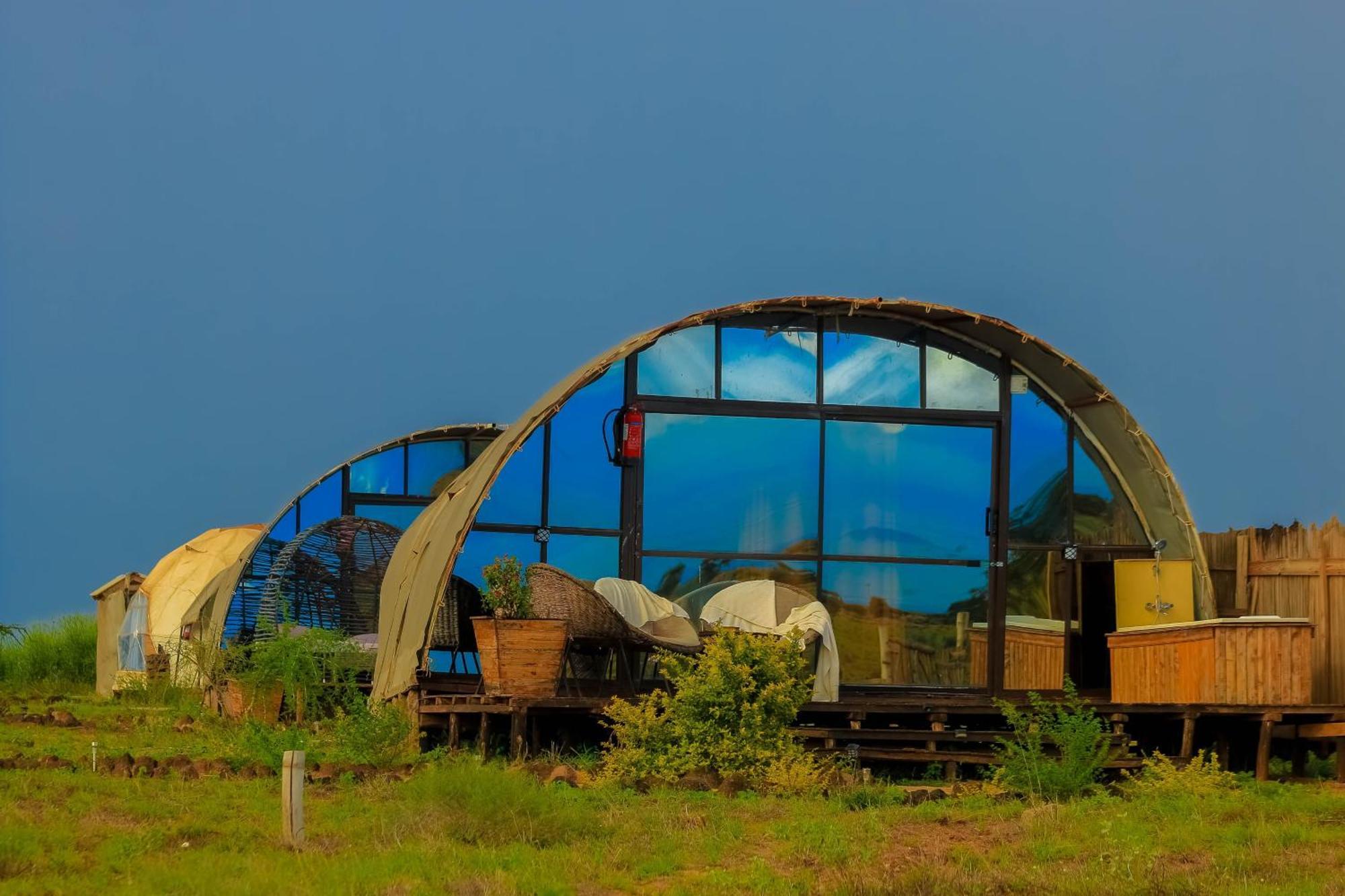Little Amanya Camp Hotel Công viên quốc gia Công viên quốc gia Amboseli Ngoại thất bức ảnh