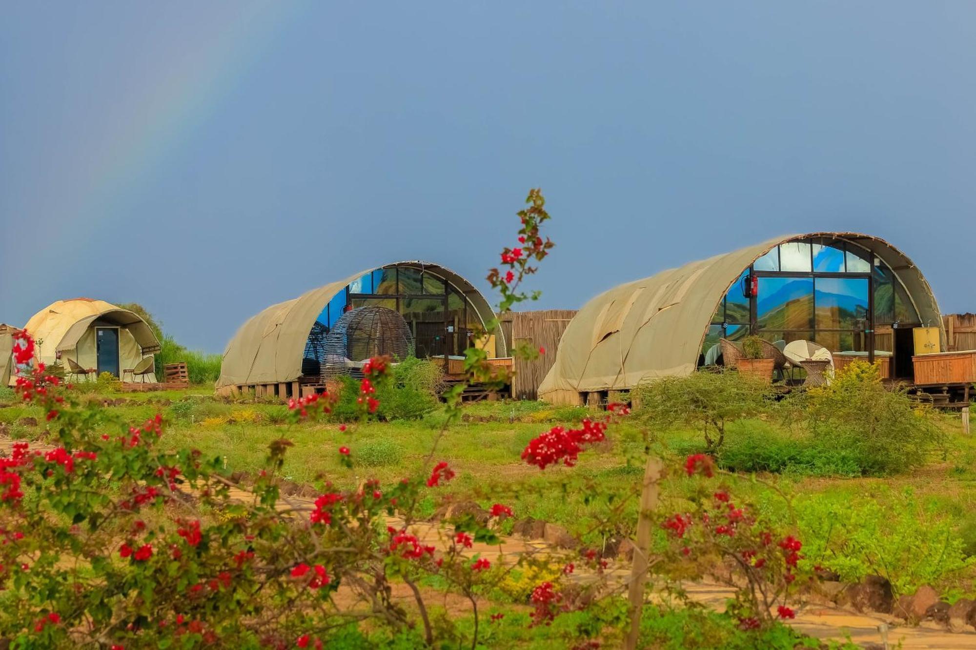 Little Amanya Camp Hotel Công viên quốc gia Công viên quốc gia Amboseli Ngoại thất bức ảnh